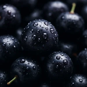 A detailed and vibrant close-up of fresh maqui berries, highlighting their rich color and dew-covered surface. Maqui Berry Anthocyanins